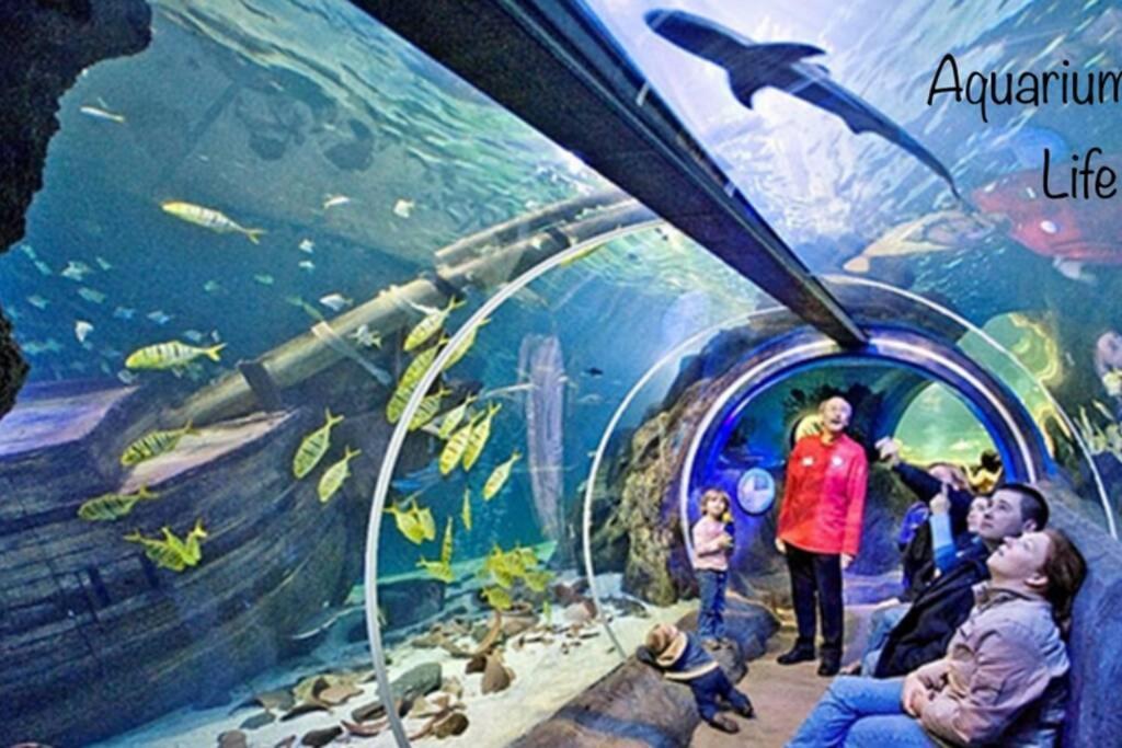 Studio 2 Adultes 2 Enfants Parcs Disneyland Paris Montévrain Dış mekan fotoğraf